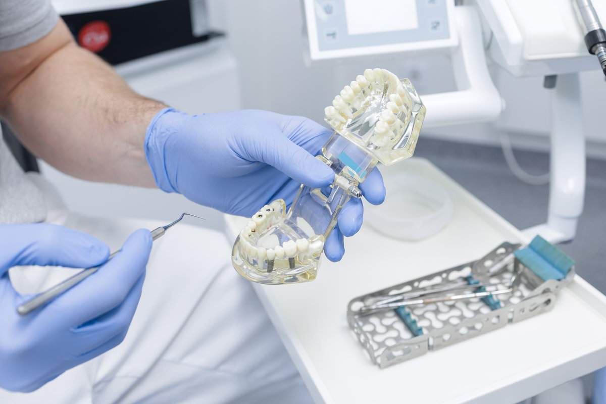 Dentist demonstrating jaw model with implants during dental consultation in clinic Dentist demonstrating jaw model with implants during dental consultation in clinic
